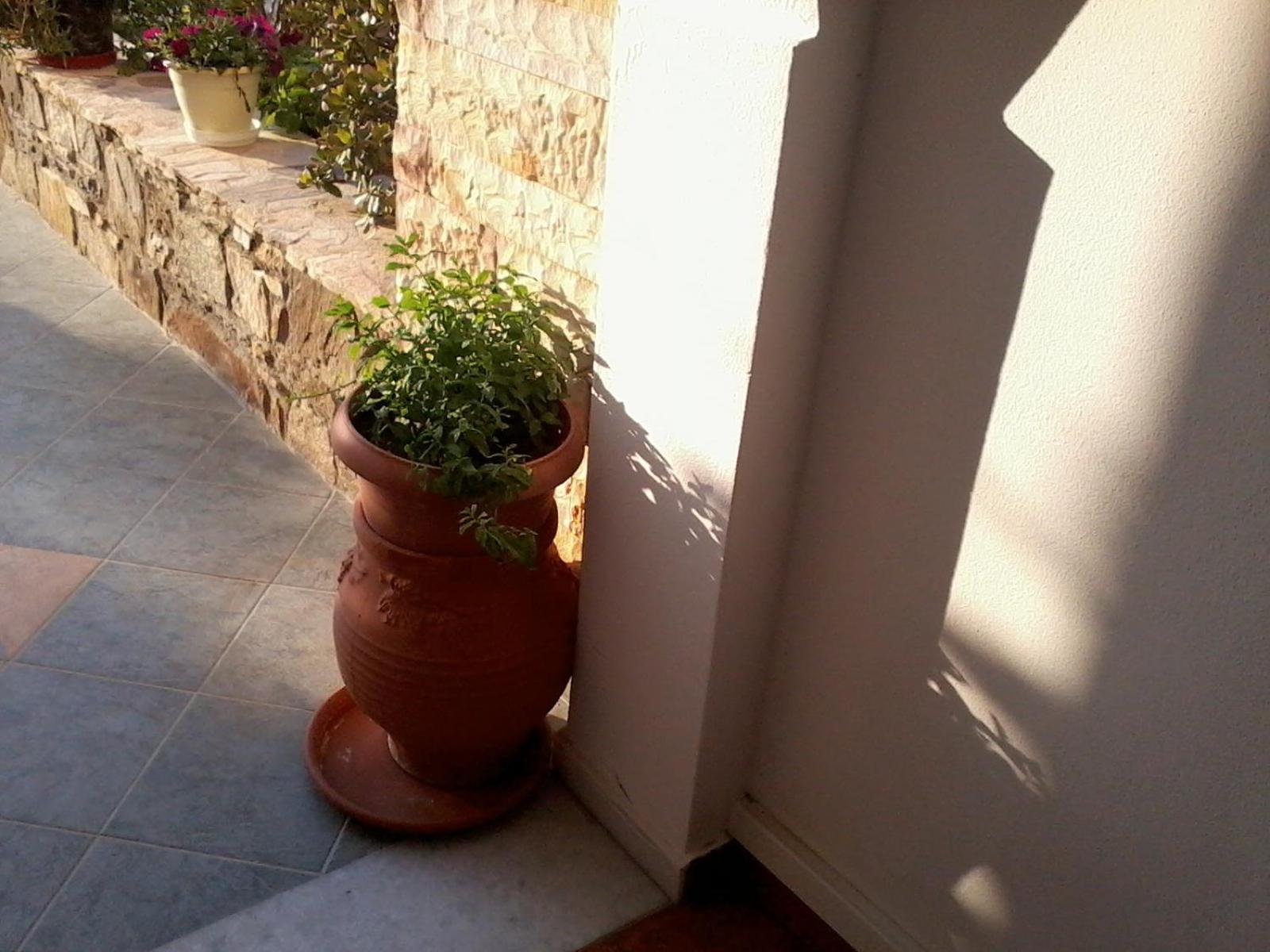 Acti Plaka Hotel Esterno foto