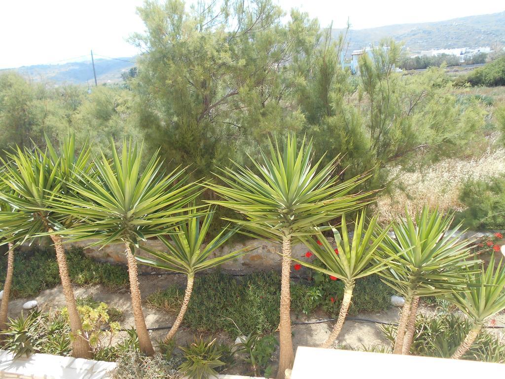 Acti Plaka Hotel Esterno foto